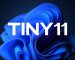 tiny
